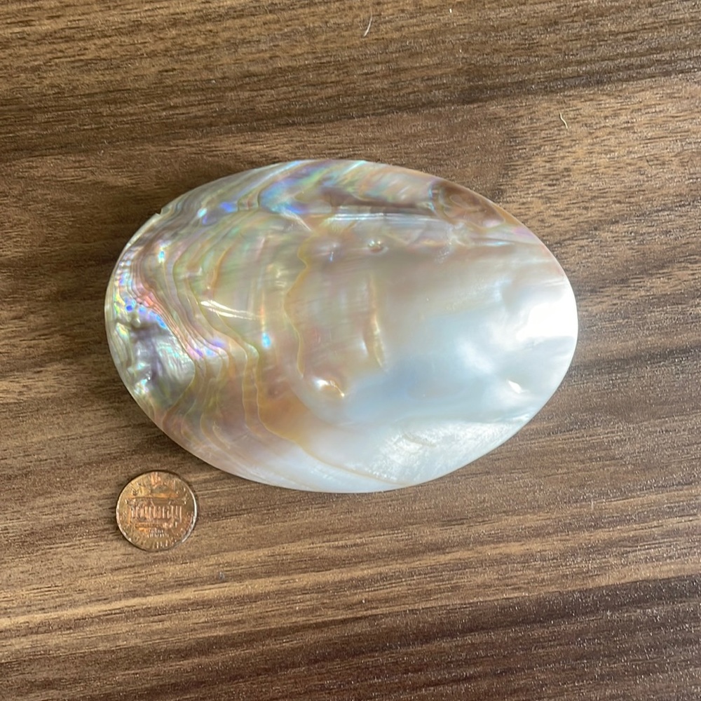 Vintage Mother of Pearl Belt Buckle (?) for Scarf